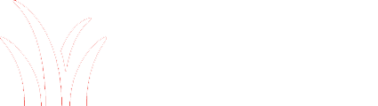 Hayden's Landscape Inc.